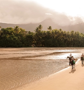 Queensland | Cairns to Daintree Rainforest Road Trip Itinerary