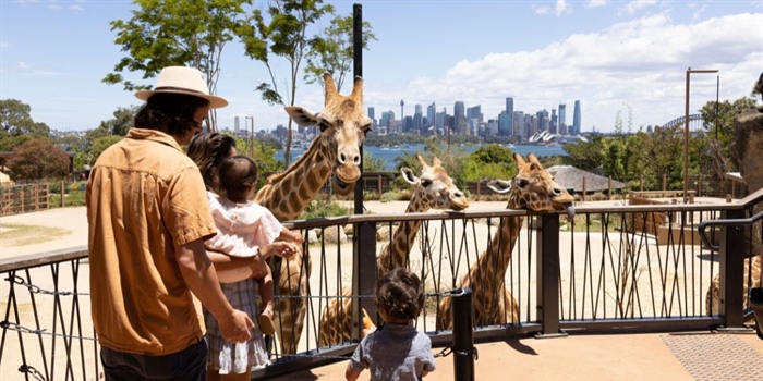 Family-friendly things to do in Sydney