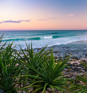 10 Things to See and Do in Noosa