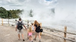 Where to see geysers in Rotorua