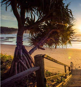 The Best Beaches in NSW