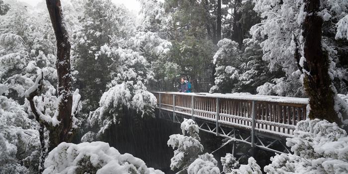 Where to See Snow in Tasmania