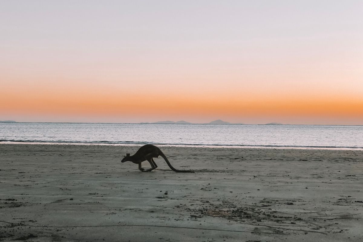 Must See Byron Bay to Cairns